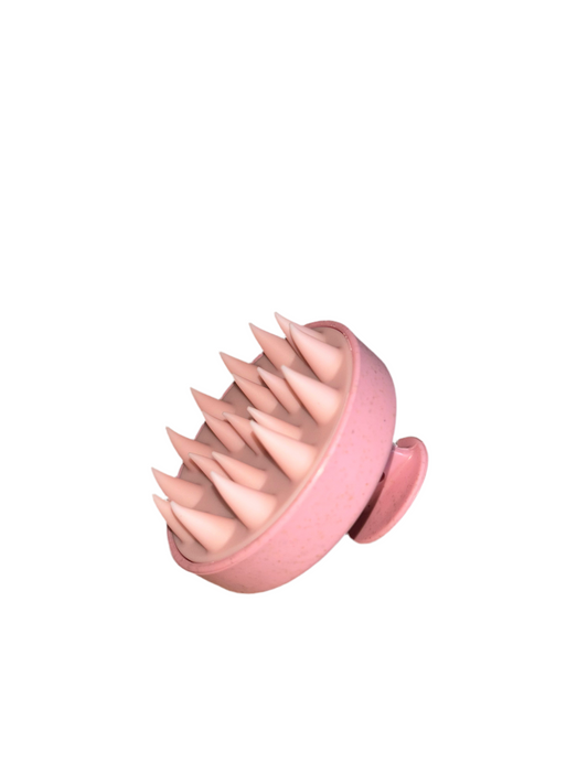 Brosse De Massage